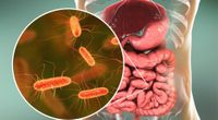 Důležitost střevního mikrobiomu a jak se o něj starat